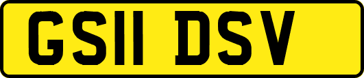 GS11DSV