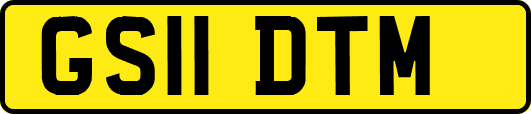 GS11DTM