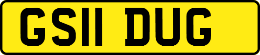 GS11DUG