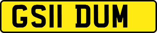 GS11DUM