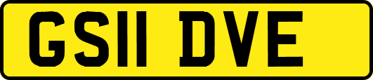 GS11DVE