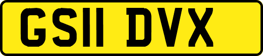 GS11DVX