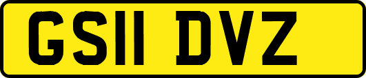 GS11DVZ