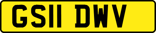 GS11DWV
