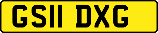 GS11DXG