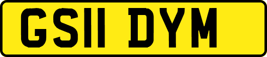 GS11DYM