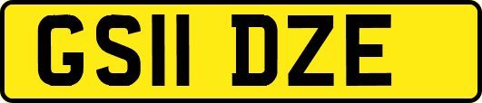 GS11DZE