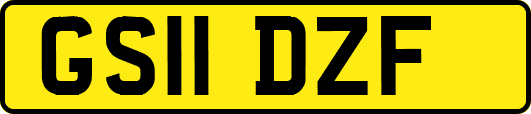 GS11DZF