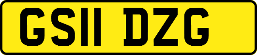 GS11DZG