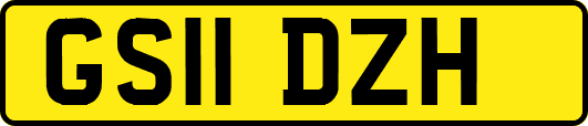 GS11DZH