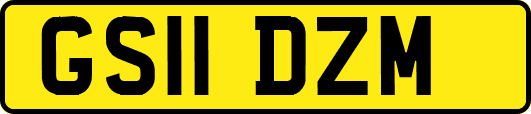 GS11DZM