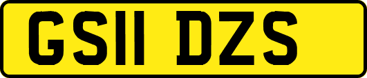 GS11DZS
