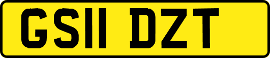 GS11DZT