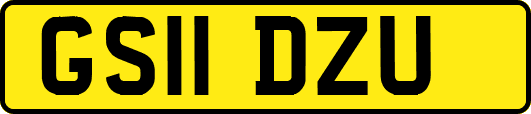 GS11DZU