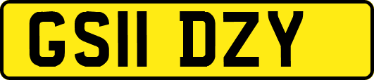 GS11DZY