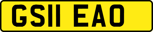 GS11EAO