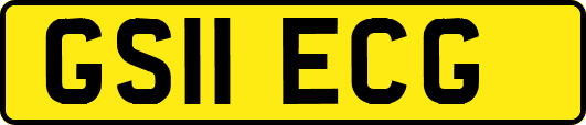 GS11ECG