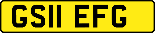 GS11EFG