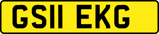 GS11EKG