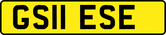 GS11ESE