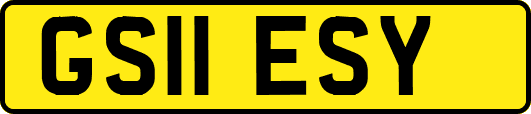 GS11ESY