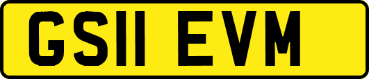 GS11EVM