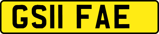 GS11FAE