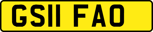 GS11FAO
