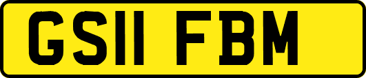 GS11FBM