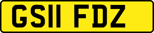 GS11FDZ