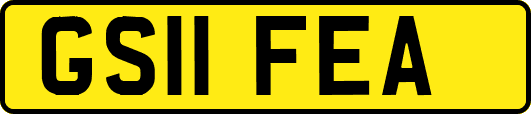 GS11FEA