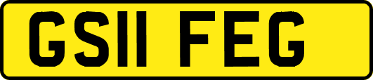 GS11FEG