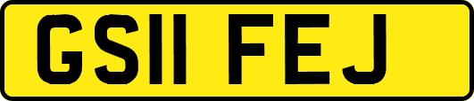 GS11FEJ