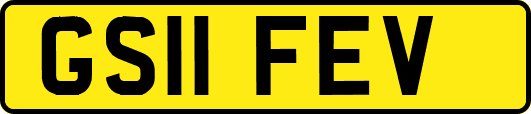 GS11FEV