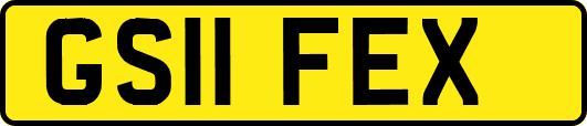 GS11FEX