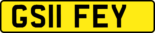 GS11FEY