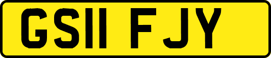 GS11FJY