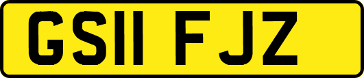 GS11FJZ