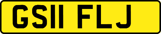 GS11FLJ