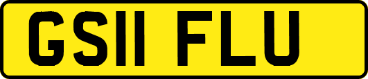 GS11FLU