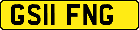 GS11FNG