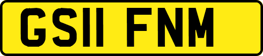 GS11FNM