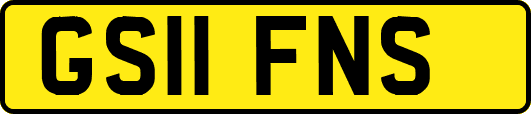 GS11FNS