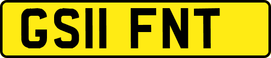 GS11FNT