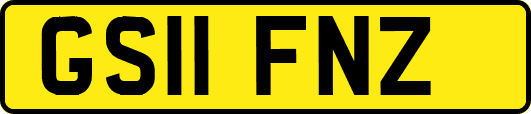 GS11FNZ