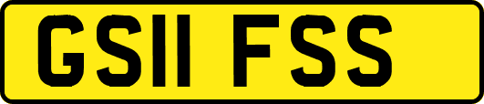 GS11FSS