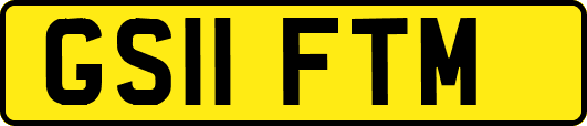 GS11FTM