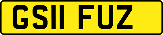 GS11FUZ