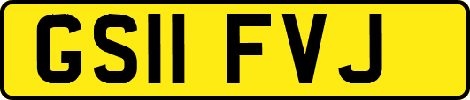 GS11FVJ