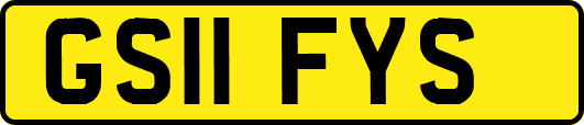 GS11FYS